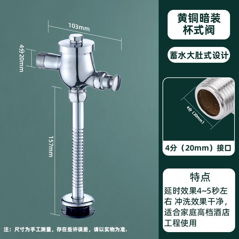 Concealed Brass Hand-Press Delayed Flush Valve