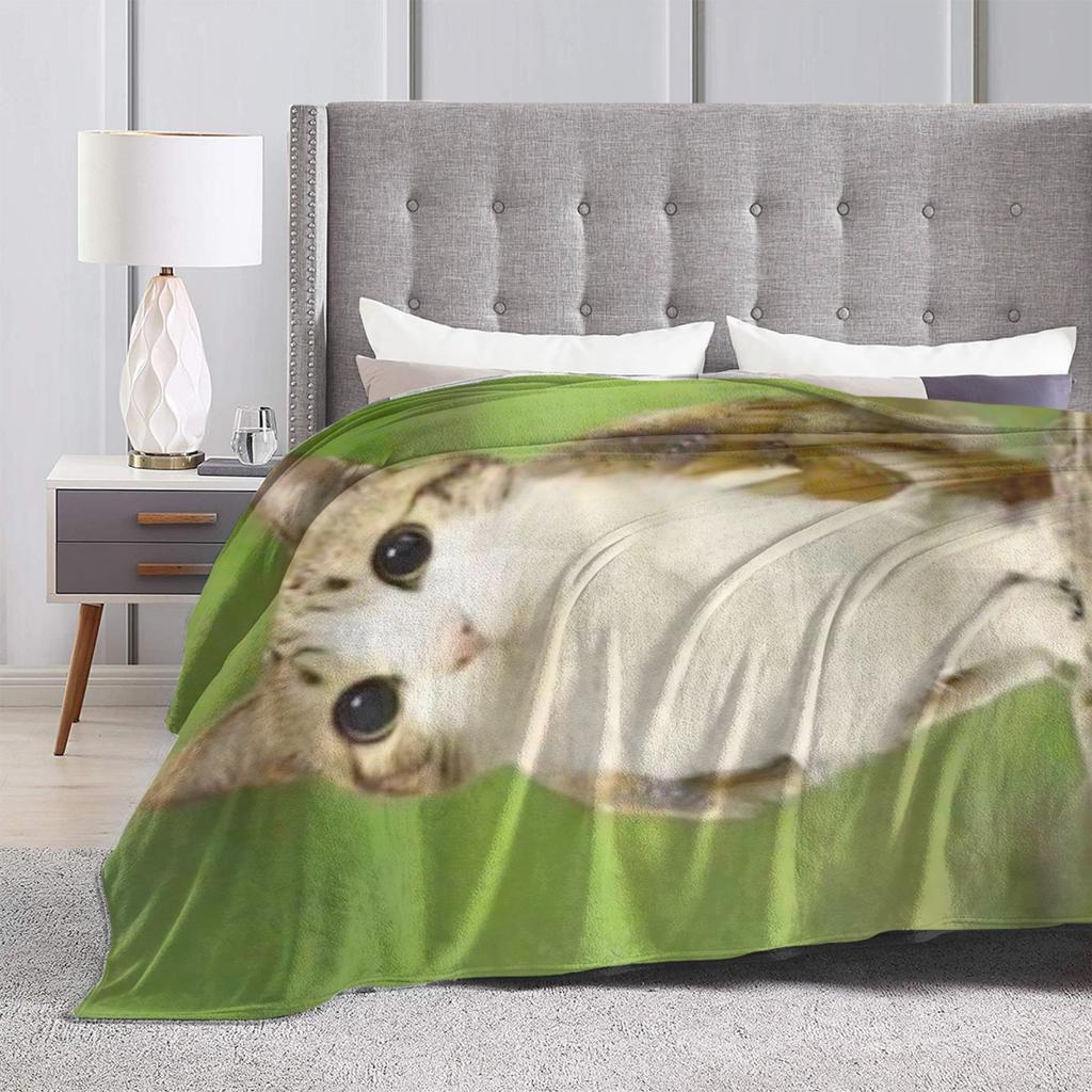 Miauende Katze, süße Eulen-Kuscheldecke, weiche Reisedecke, Plüsch-Bettüberwurf, originelle Sofa- und Sesseldecke, Flanell-Bettdecke