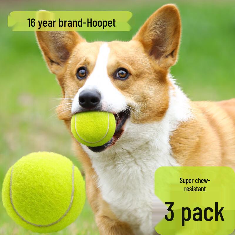Прочный теннисный мяч для собак Hoopet