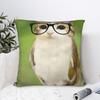 Dekorativní povlak na polštář Meowl Kočka Sova Meme Doplňky Postel Povlak na polštář Kryt Se zipem Více velikostí