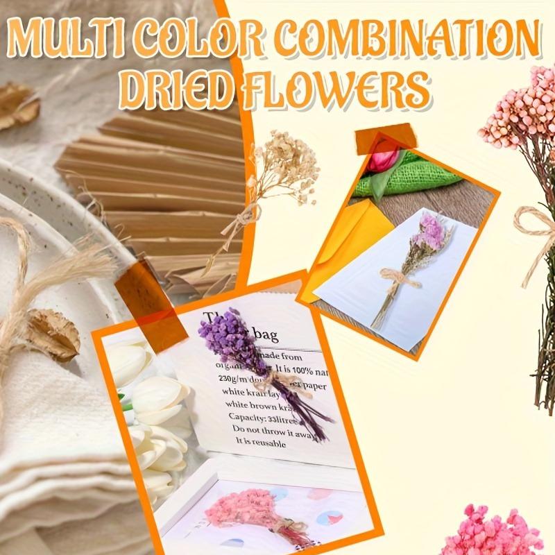 10Pack Dried Flowers with Stem for Vase Wildflower Decor Crafts Bouquets Artificial Floral Arrangement for Vase DIY Wedding Decor