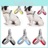 Pet Harness With Multiple Colors And Sizes Available
