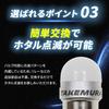 Takenous Truck Bastard Takemura Shokai BA9s LED G14 24v Firefly Flashing Built-in Luminous