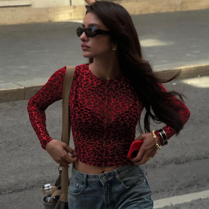 Women's Summer Round Neck Long Sleeve Leopard Print Mesh Sheer Long Sleeve T-Shirt Top