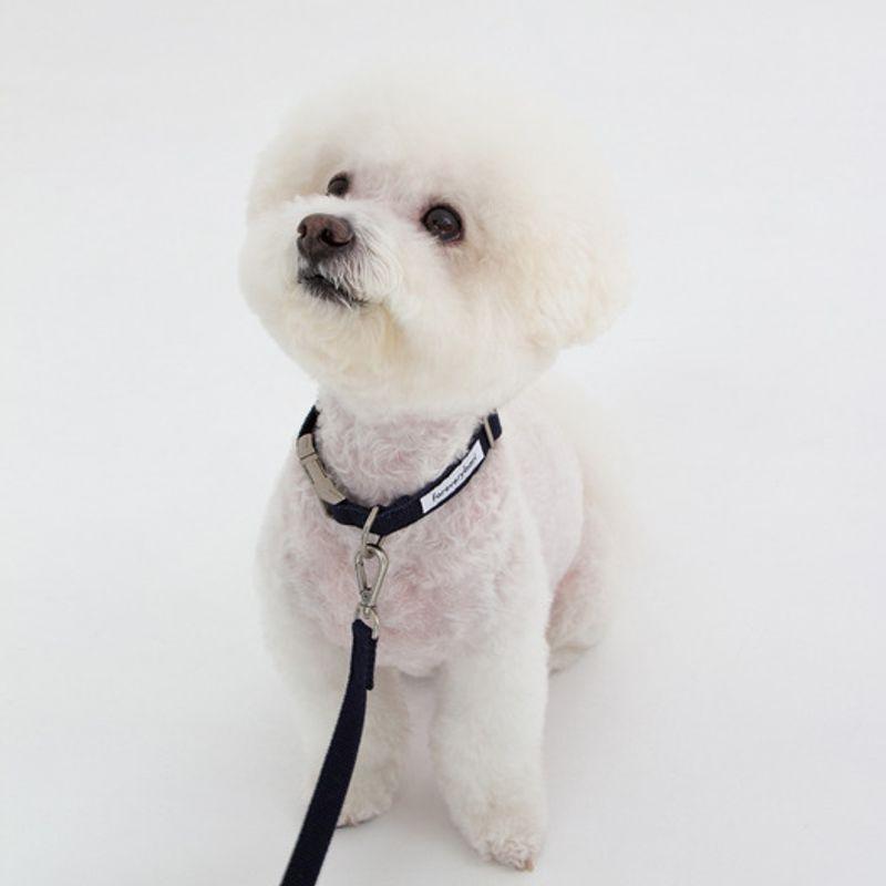 Foreverybari Leash Set (dark Navy)