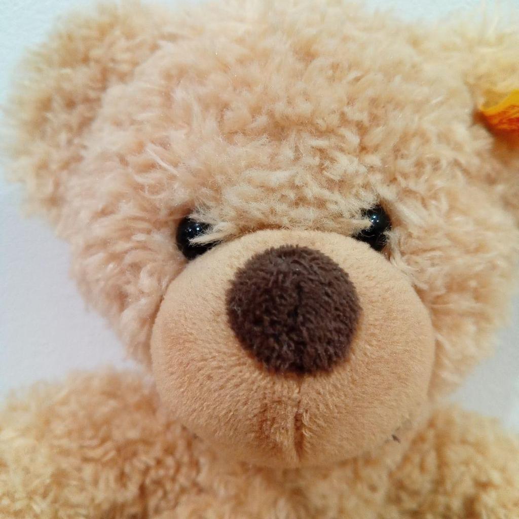[USED] Steiff Teddy Bear