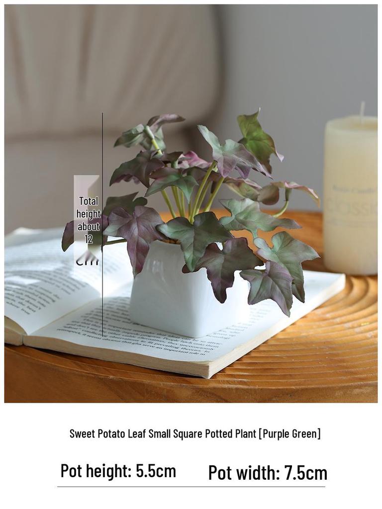 Miniature Succulent Bonsai Desk Ornament: Green Plant Props for Home or Office Decor