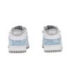 Nike Dunk Jiang Immersed Moon Abrasion Resistant Slip Resistant Low top Skateboard Shoes Unisex White Blue HF5441-105(Team724-)
