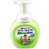 Foaming Hand Wash Hand Soap Green Grape Scent 250ml Hand Sanitizer