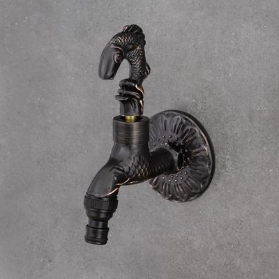 Balık & Akvaryum Hayvanları – Akvaryum Bakımı