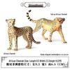 Wild Safari Animal Figurines: Giraffe, Elephant, Rhinoceros, Brown Bear, Tiger, Lion, Leopard, Hippopotamus - Solid Cognitive Toys