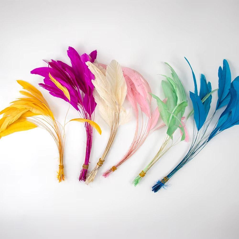 10Pcs Natural Feather Performance Decoration Feathers Craft Feathers Headwear Accessories