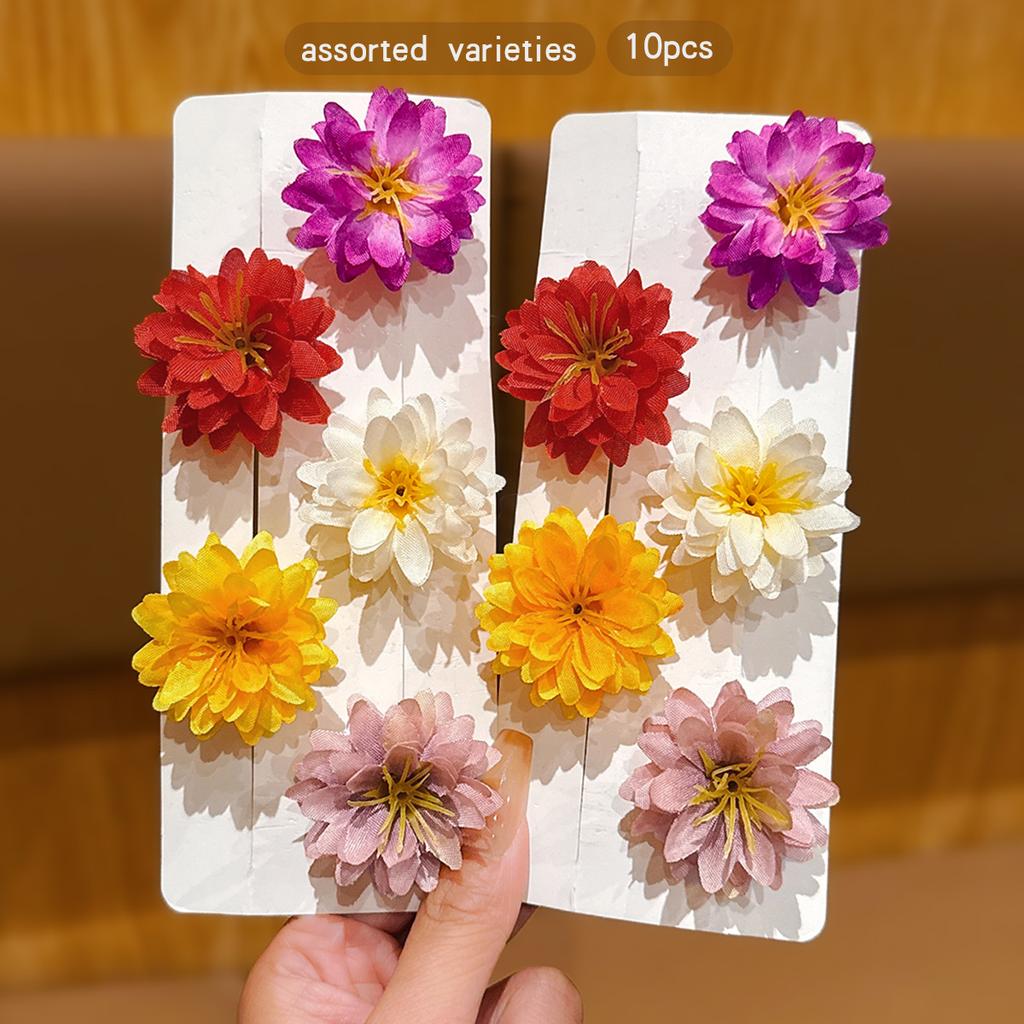 10 bunte zufällige Blumenspangen für den täglichen Gebrauch als Haarschmuck