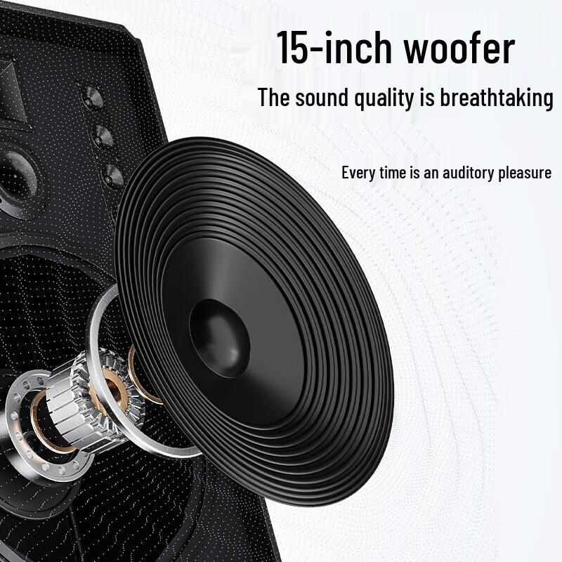 Newmine N527/N528 15-inch Portable Karaoke Bluetooth Speaker