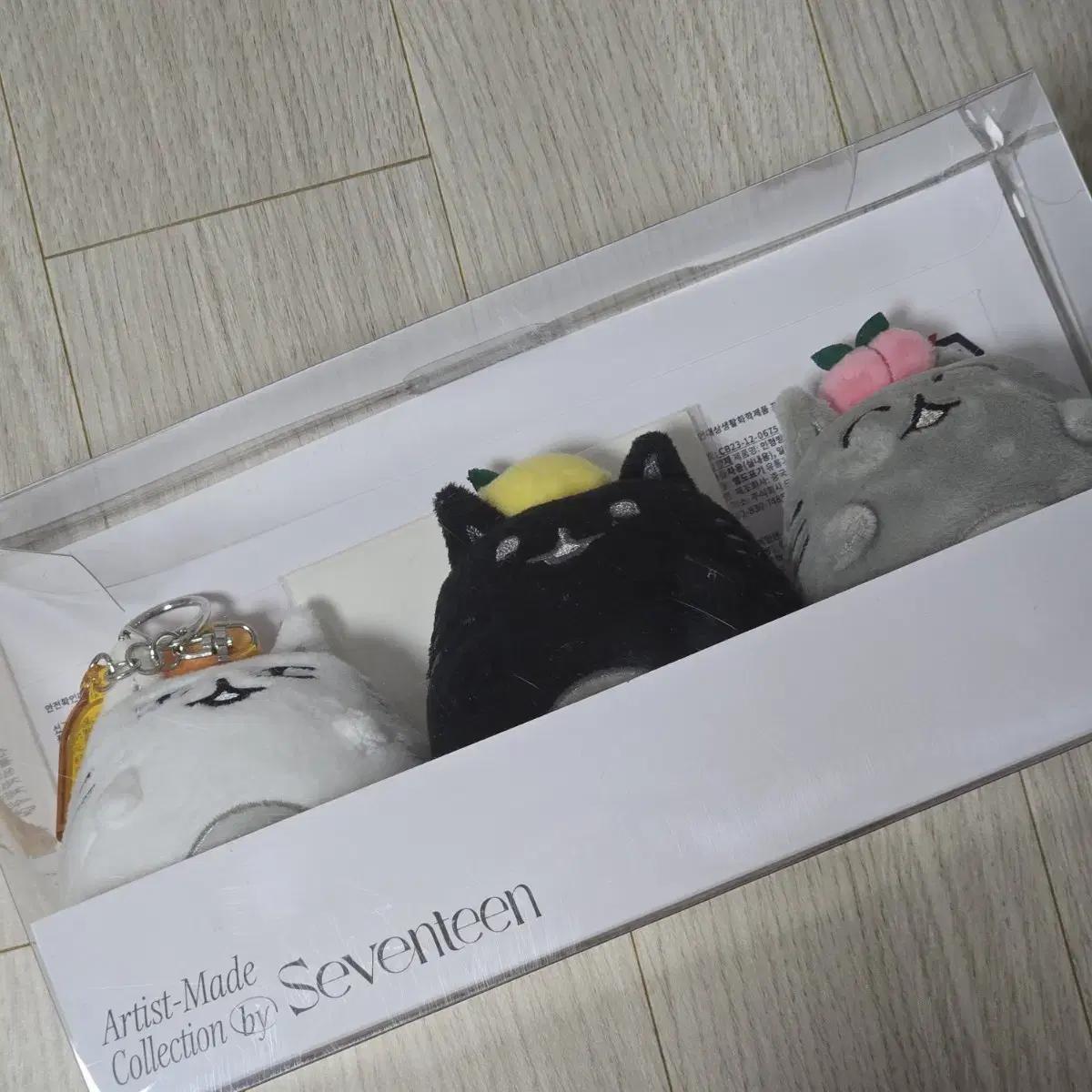 

Семнадцать Художник Горничная Джун Открыто И Закрыто.