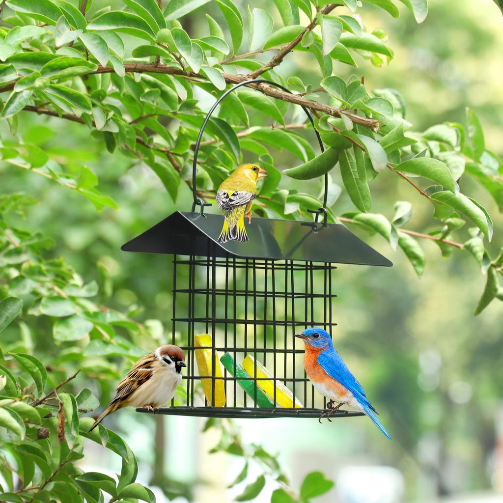 Outdoor Wild Bird Feeder Black Small Hanging with Metal Rainproof Squirrel-Proof Single Suet Cake Style for Outside O Bird Feeder Bird Feeder Squirrel Proof Squirrel Proof Bird Feeder Hanging Suet