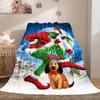 Christmas Gift Comedy Movie How the Grinch Stole Christmas blanket home warming, four season bed decoration sofa cover flannel throwing blanket K14