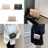 Wholesale High-end Women's Bag 2024 Summer New All-match Chain Single Shoulder Crossbody Bag