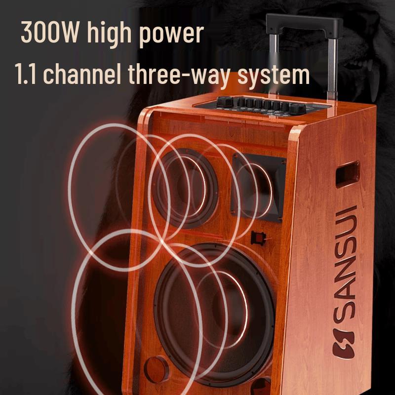 SANSUI G10 Portable Outdoor Karaoke Speaker with Microphone (CN version)