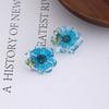 Summer Small Fresh Dried Flower Small Daisy Resin Earrings Girlish Lily Stud Earrings Sweet Cute Wind Daily Earrings