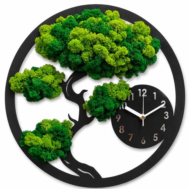 Moss clock, bonsai tree
