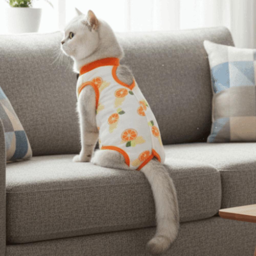 Fruit Printed Cat Sterilization Suit High Elasticity Cat Jumpsuit Pet Weaning Suit  Pet Care