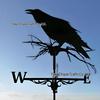Weather Vane Ornament: Outdoor Wrought Iron Spray-Painted Roof Decoration Metal Craft