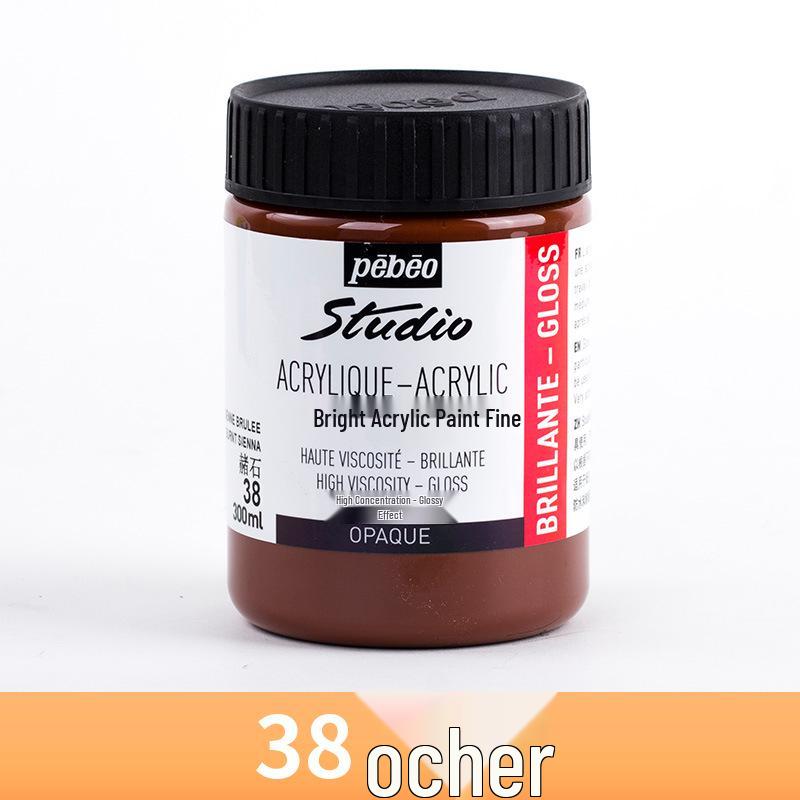 Bright Acrylic Paint 300ml - Large Capacity for Student and Children's DIY Art & Wall Painting