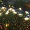 Solar Garden Jellyfish Lights Outdoor Mushroom Stakes Lights with Swaying LED Firefly Decorations for Patio Pathway Christmas