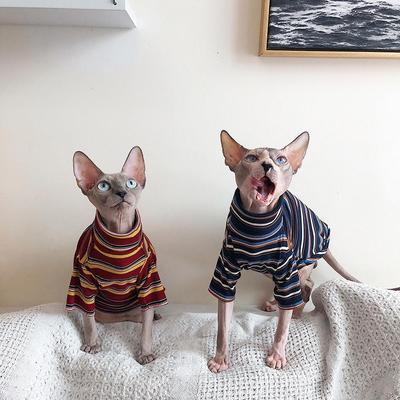 Katzenkleidung für Sphinx, haarlose Katzenkleidung, gestreifte Kleidung, warmes Strickhemd, Haustierkleidung, Katzenlieferant, XS bis XL