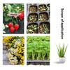 M-10Pcs Seedling Trays Plastic Gardening Germination Trays Black Seedling Container Garden Supplies For Vegetable Flower