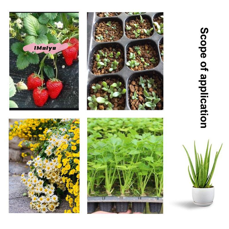 M-10Pcs Seedling Trays Plastic Gardening Germination Trays Black Seedling Container Garden Supplies For Vegetable Flower