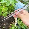 Garden Bonsai Tweezers Dual Head Bonsai Tool Gardening Plant Tweezers For Loosening Pressing Weeding Fertilizing Bonsai