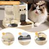 2 In 1 Automatic Pet Feeder Cats Water Container Cat Food Bowl for Small Dogs