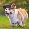 Sonnenhut Einfarbig Haustier Baseballkappe Verstellbar Atmungsaktiv Hundekappe Sonnenschutz mit Ohrenlöchern Hunde Sonnenhut Welpe Haustier