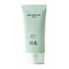 Young Artemisia Moisture Soothing Sunscreen 50ml_631848