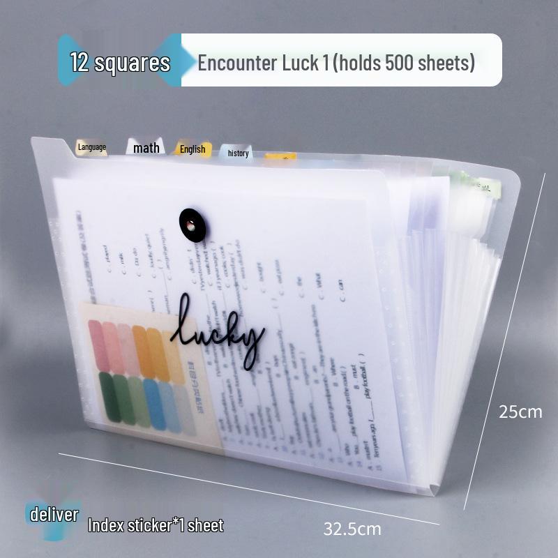 A4 School Accordion Bag - Large Capacity Multi-Layer Test Paper Storage & Book Classification Folder