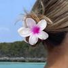 Accesorii pentru păr – Clame de păr
