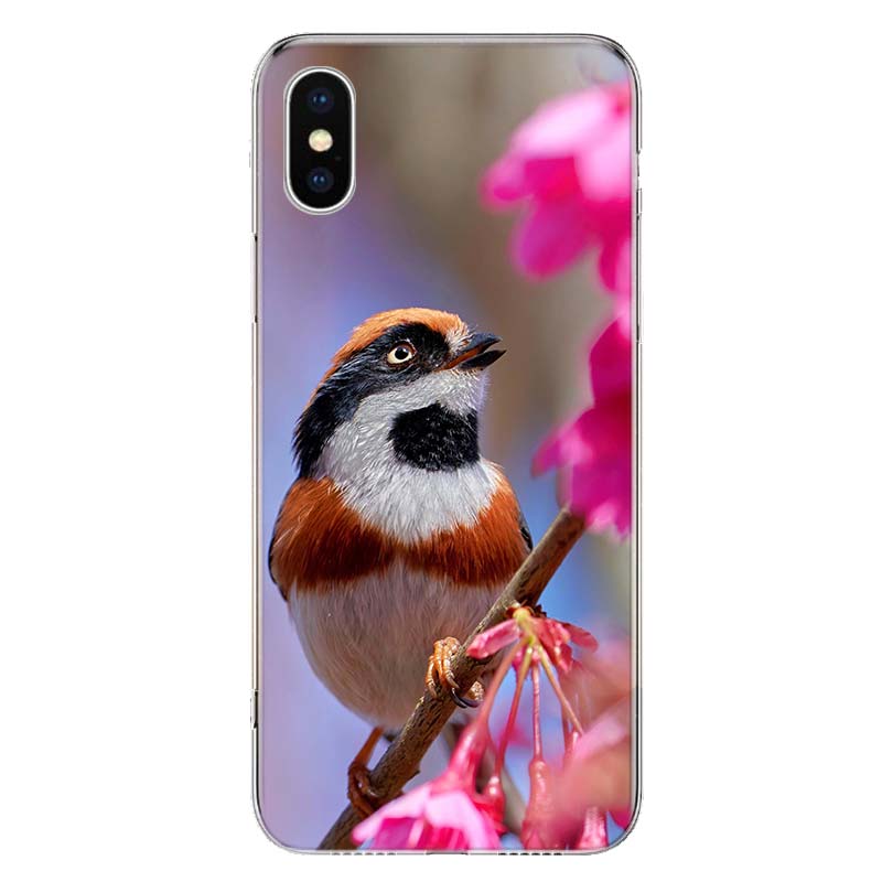 Magpie Bird Cover Phone Case For Apple iPhone 11 12 13 14 Pro 7 XR X XS Max 6 6S 8 Plus + Mini 5 SE Print Soft Cover Coque