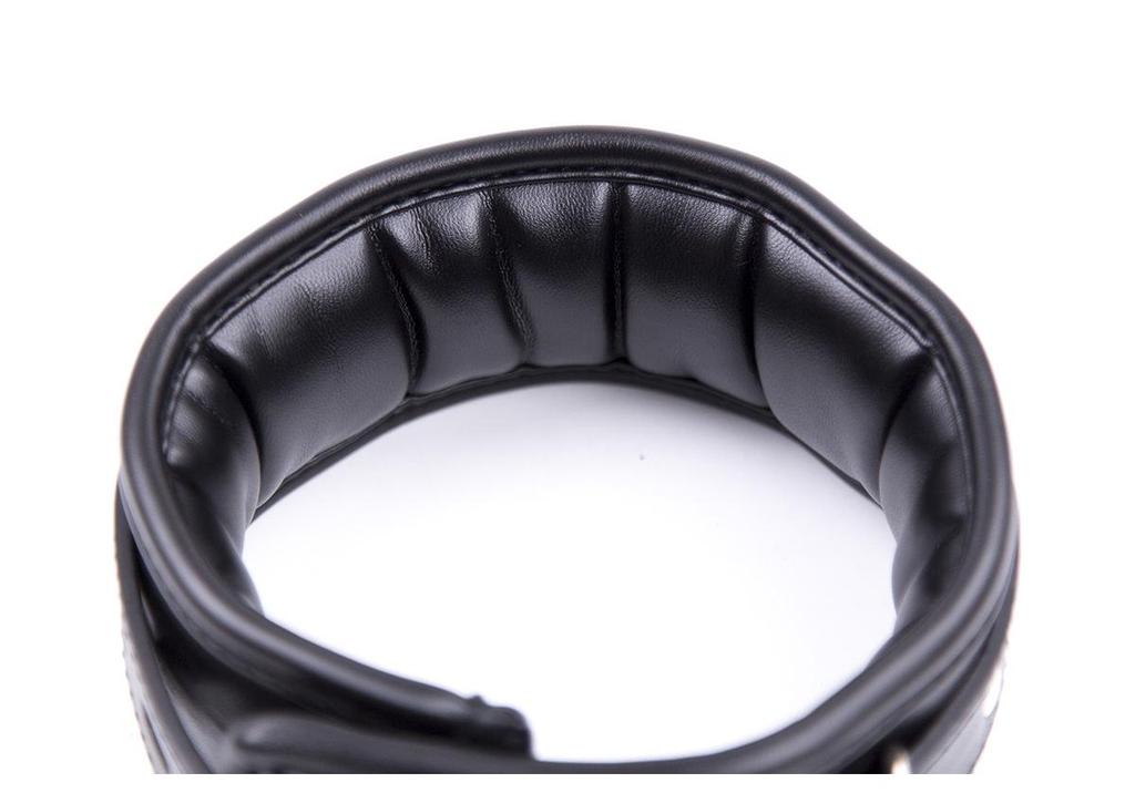 Intimate Adult Neckband & Leash Set