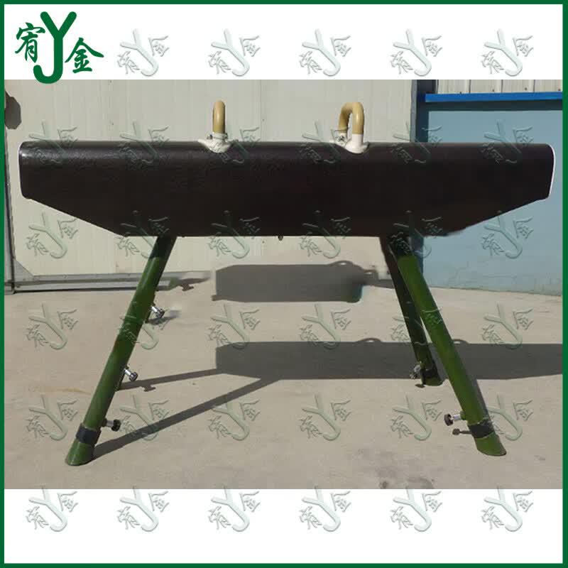 Gymnastics Training Pommel Horse