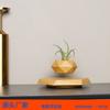 Creative Magnetic Levitation Potted Bonsai Plants