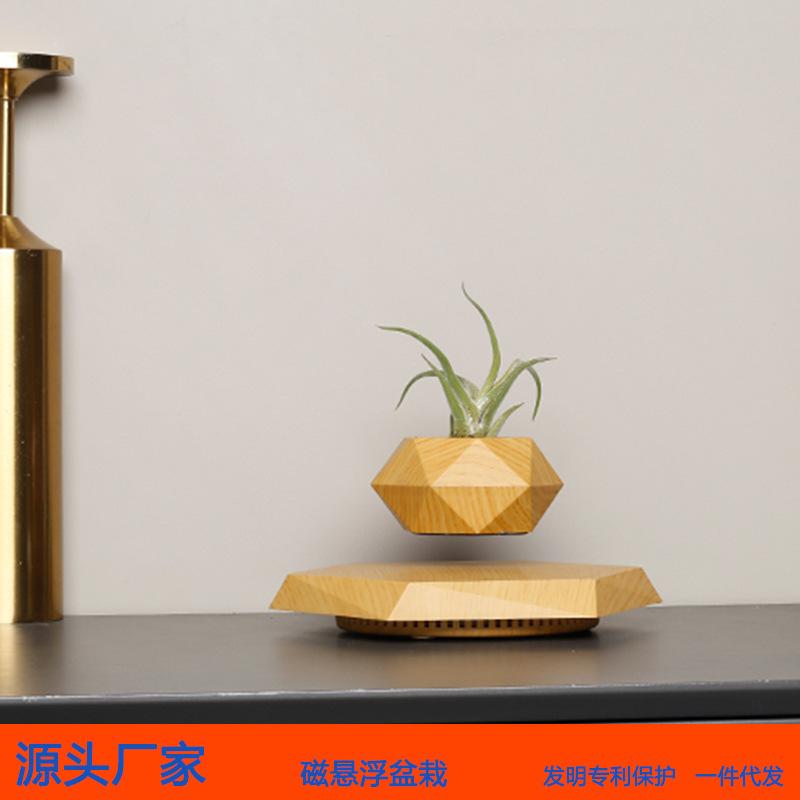 Creative Magnetic Levitation Potted Bonsai Plants