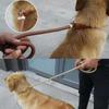 Cães – Colares e correias para cães