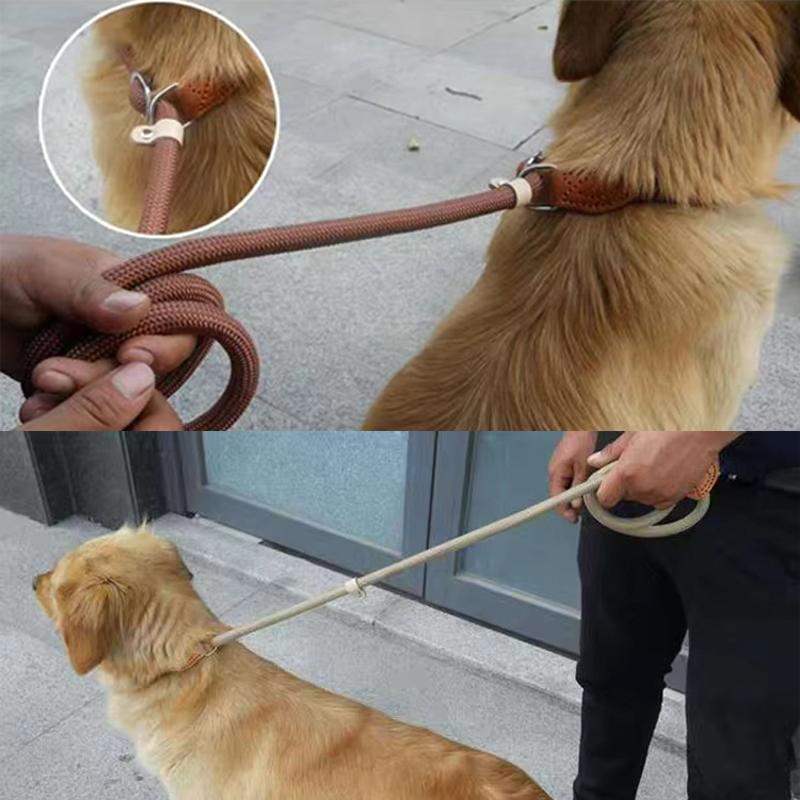 1,8m Anti-Knal Hondentuig P-Ketting Halsband No-Pull Trainingslijn Anti-Ontsnapping Huisdier Lijn Voor Middelgrote Grote Honden Buiten Wandelen