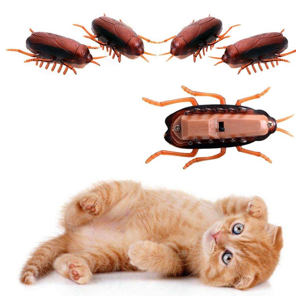 Kitten Funny Novelty Gag Toys Battery Cockroach Training Play Toy Kids