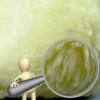 Double-Sided Plush Car Wash Gloves Wiping Car Imitation Wool Gloves Soft Thickened Car Cleaning Tools Portable Cleaning Supplies