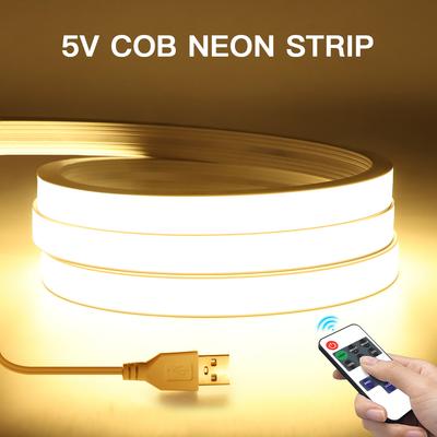 USB 5V Fernbedienung Dimmbar Reines Silikonrohr COB Neon LED Streifen Licht Wasserdicht Für Garten Schlafzimmer Küche Hintergrundbeleuchtung Dekor