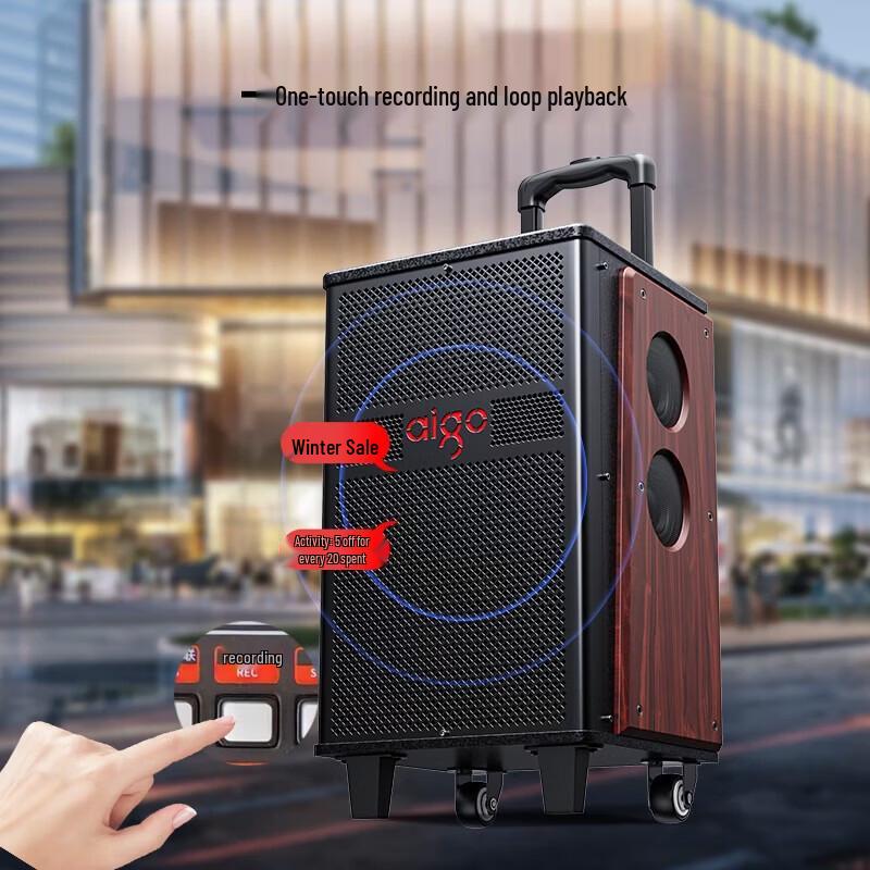 Aigo S612 Portable Outdoor Karaoke Trolley Speaker CN Plug (adapter Included)
