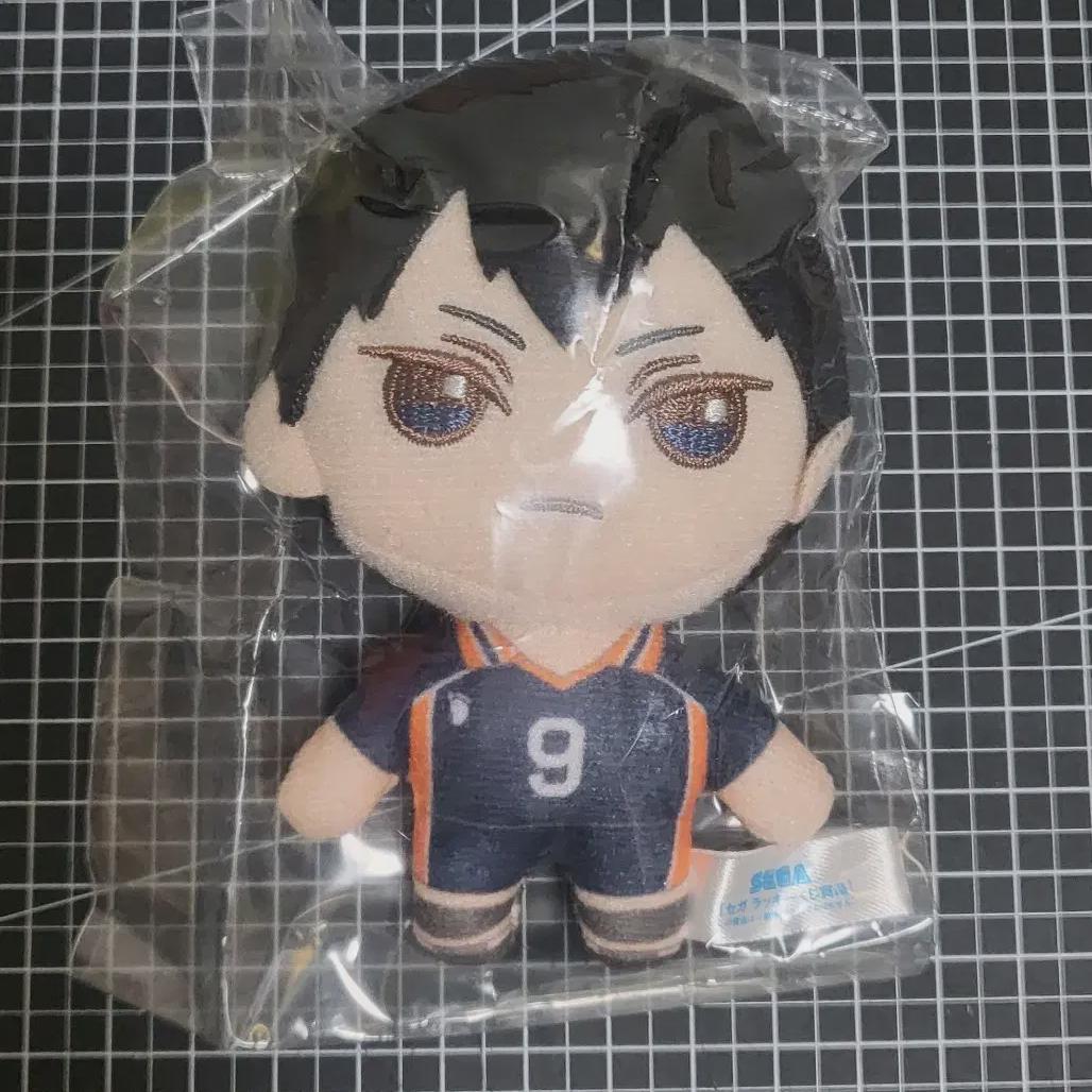 

Сестра-талисман Хайкю Сегакудзи Кагеяма Тобио Бабока